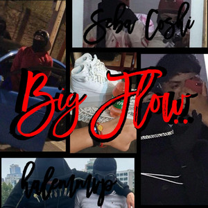 Big Flow (feat. sebacoshi)