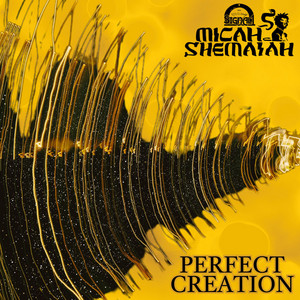 Perfect Creation - Radio Edit by Micah Shemaiah, Rapha Pico