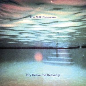 Catalyst by The Milk Blossoms