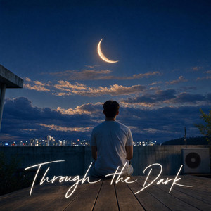 Through the Dark by Nocturne BL