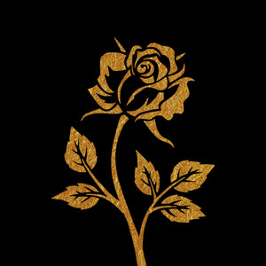 Rose Gold by mxdnxght
