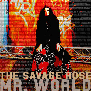 Mr. World