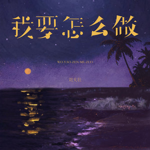 我要怎么做 by 刘大壮