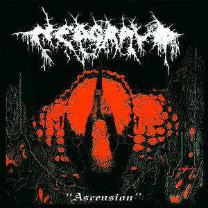 album cover: Ascension
