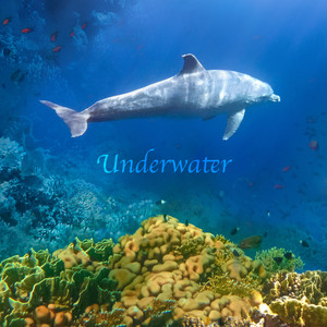 Ocb Relax - Underwater