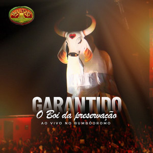 BOI BUMBÁ GARANTIDO - Coração de Torcedor (Ao Vivo)