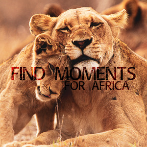 Tamrat Desta - Mechi