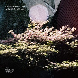 Skidoo by Johan Lindvall Trio