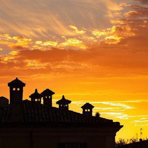 Golden Silhouettes by Soft Static