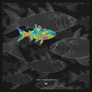 Hoki - Valante Remix by Koltbach, Valante