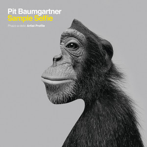 Try - Why This? Mix by Pit Baumgartner