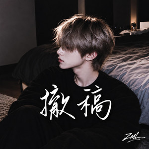 撤稿 by ZML