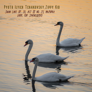 Swan Lake, Op. 20, Act III, No. 23: Mazurka (Arr. for Synthesizer)