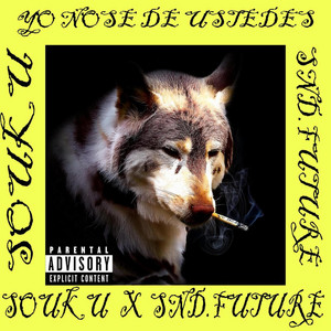 souku - yo no sé de ustedes #jerk