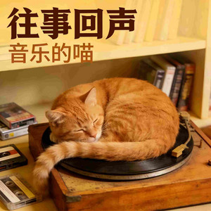 往事回声 - 微醺版 by 音乐的喵