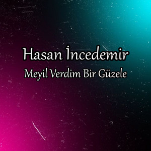 Hasan İncedemir