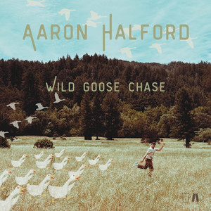 Crocodile Tears by Aaron Halford