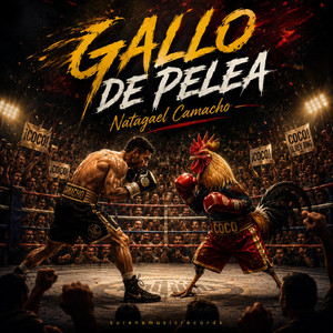 Gallo De Pelea by Natagael Camacho