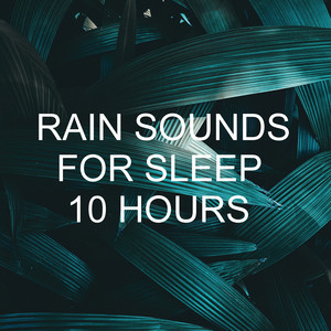 Rain Sounds for Sleep 10 Hours album