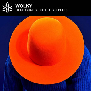 Here Comes the Hotstepper - House Mix by Wolky