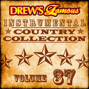 Drew's Famous Instrumental Country Collection (Vol. 37) album