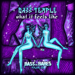 What It Feels Like by Bass Temple