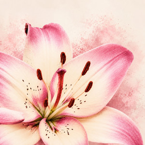 Flowers by Frvrjd, lloydd