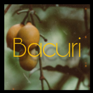 Bacuri by BugigangaZ, D Boas