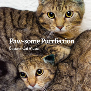 Paw-some Purrfection: Binaural Cat Music album
