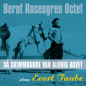 Så Skimrande Var Aldrig Havet