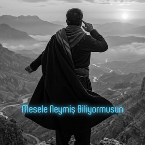 Mesele Neymiş Biliyormusun by Volkan Baltik