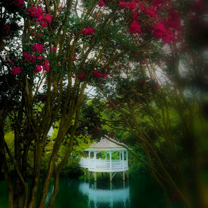 A Beautiful Place to Miss You by Matthew C. Wright