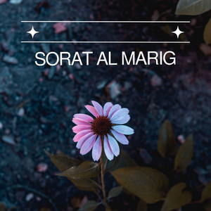 Sorat Al Marig by جمعان العصيمي