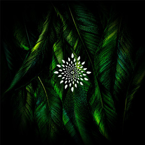 Alucinacion cover art