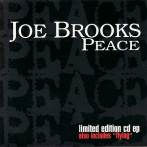 Flying by Joe Brooks