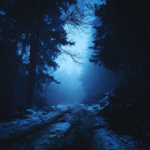 cant take this anymore by austen