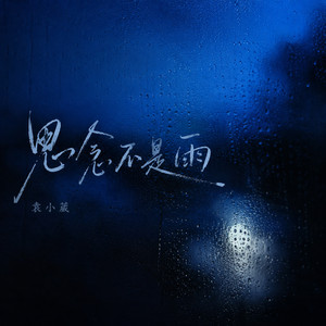 思念不是雨 by 袁小葳