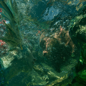 Verdant by Clap Orion