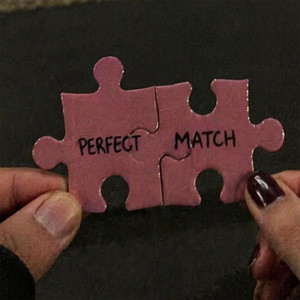 PERFECT MATCH