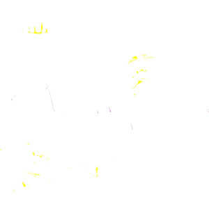 Cluster B