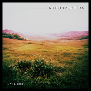 Introspection by Carl Borg