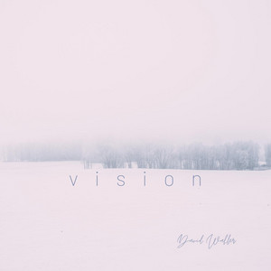 Vision
