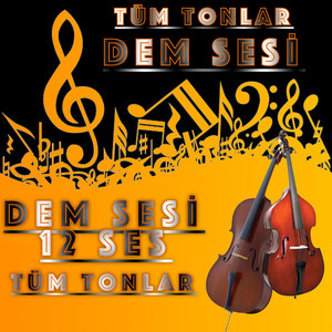 Cadance Music 27 - La Dem Sesi