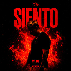 SIENTO by Wiidi