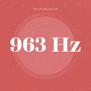 Measured Measure by Mira Field