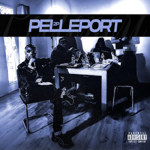 Pelleport by 2P