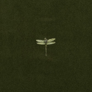 Odonata by TwiceLou