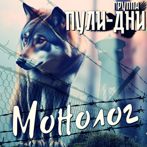 Монолог by Группа Пули-Дни