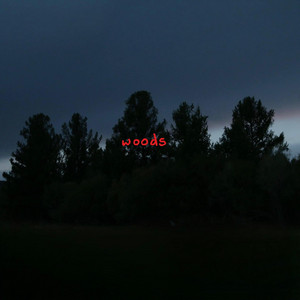 Woods by Magnolian