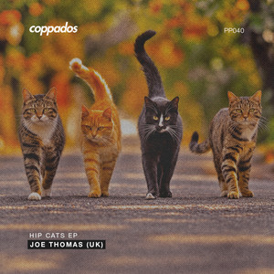 Hip Cats by Joe Thomas (UK)